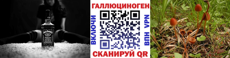 Купить где  Спас-Клепики  Галлюциногенные грибы Psilocybe 